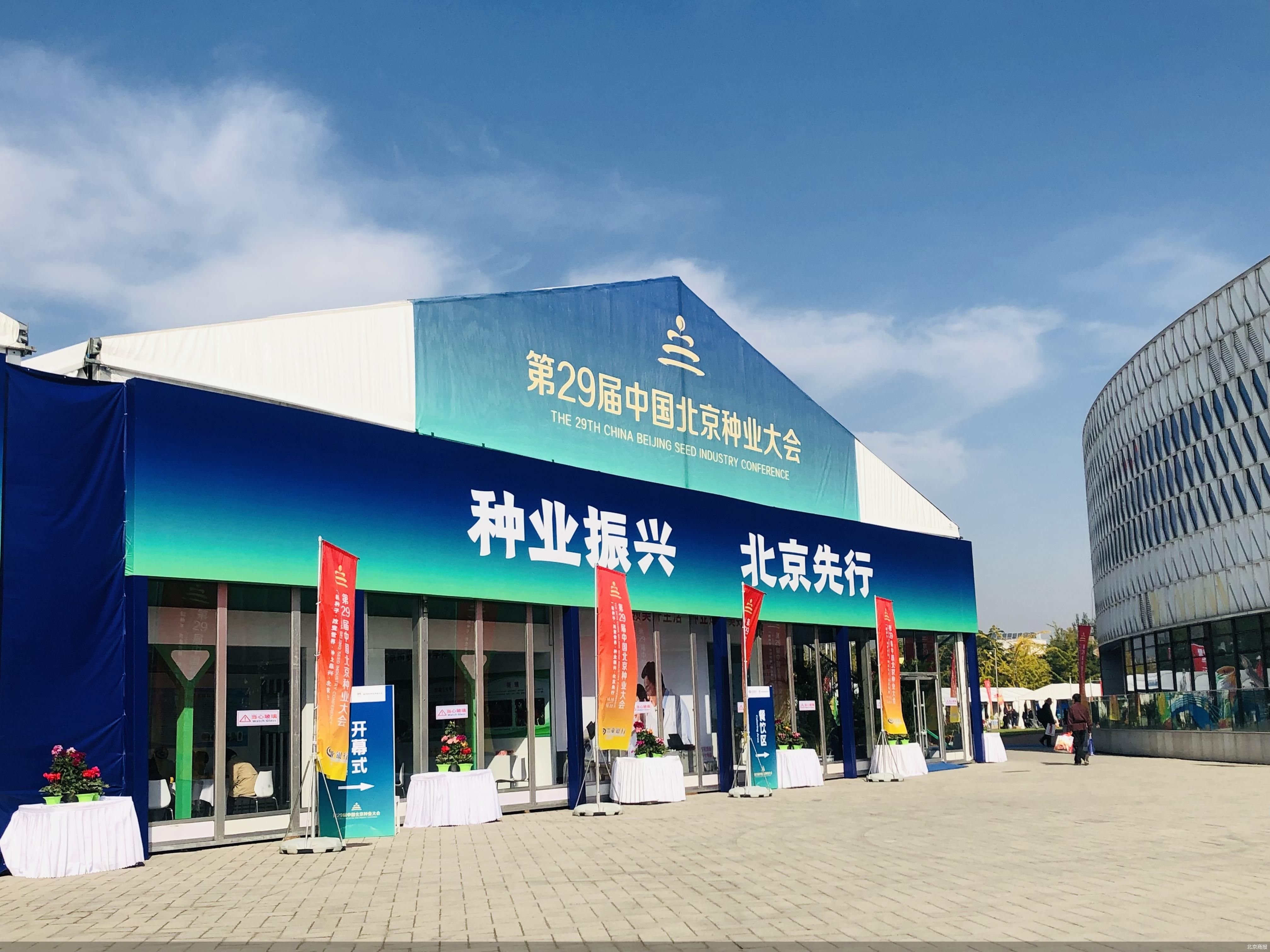 “玉米自交系”搶眼 種業振興北京如何打頭陣