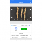 稻穗形態測量儀
