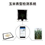 玉米表型檢測系統