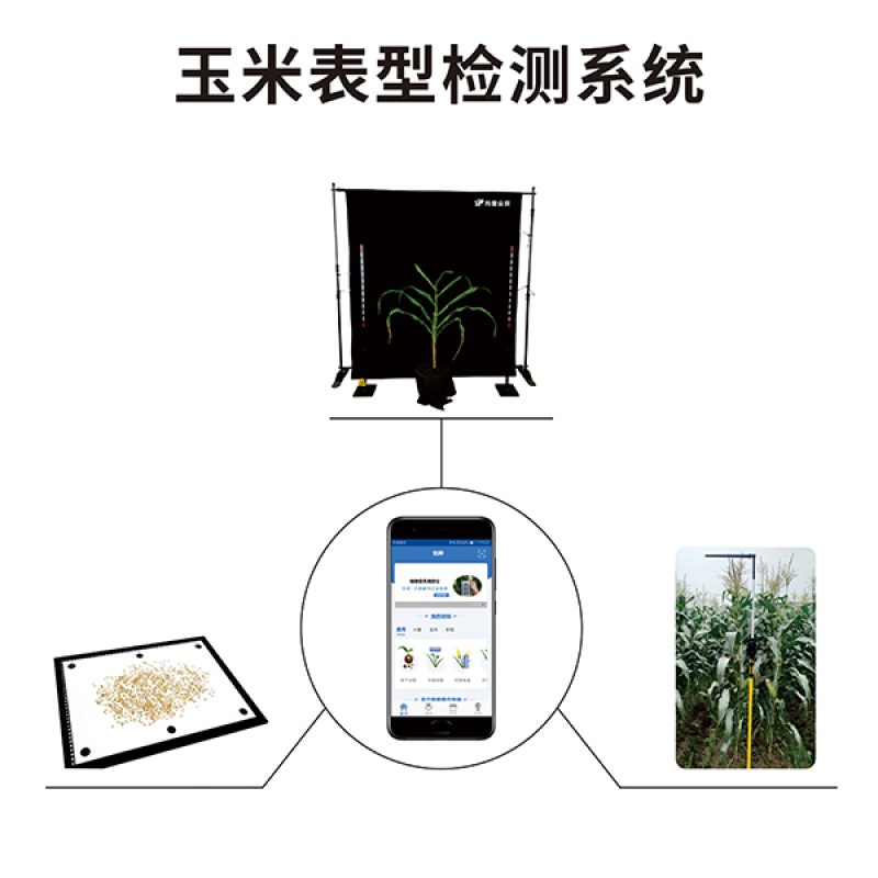 玉米表型檢測系統
