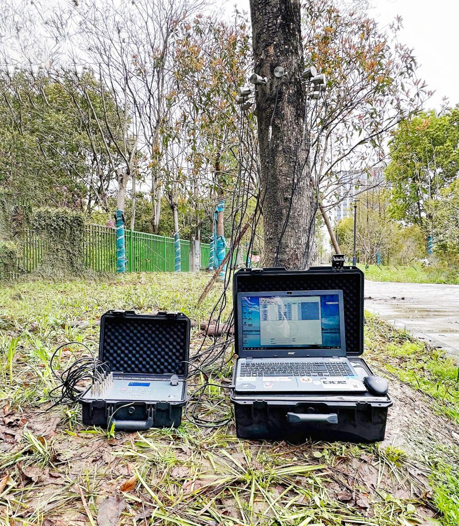 樹木無損檢測探傷儀：檢測樹木健康狀況，給出專業治療方案