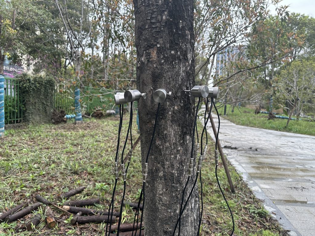 樹木無損檢測探傷儀：檢測樹木健康狀況，給出專業治療方案