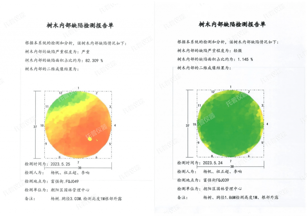 樹木無損檢測探傷儀：檢測樹木健康狀況，給出專業治療方案
