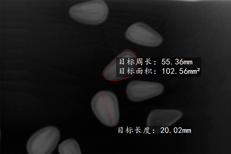電腦種子X光機