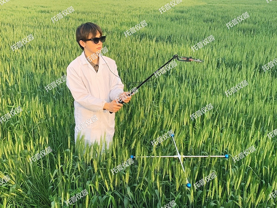 小麥表型檢測系統—小麥生長全生命周期表型綜合檢測
