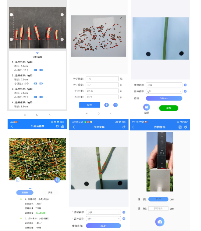 小麥表型檢測系統—小麥生長全生命周期表型綜合檢測