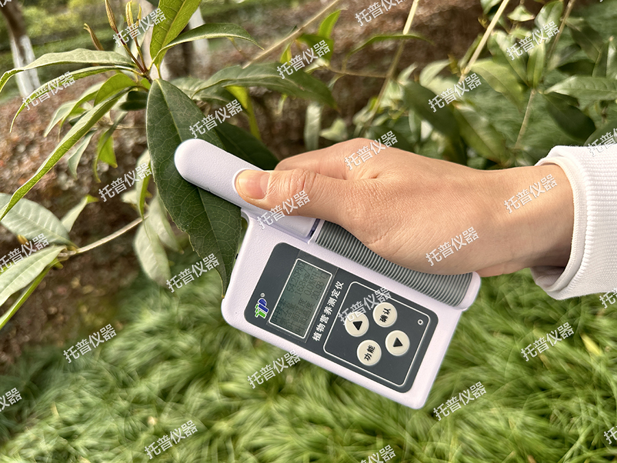 植物營養測定儀—無損檢測，實時顯示，您的植物私人醫生