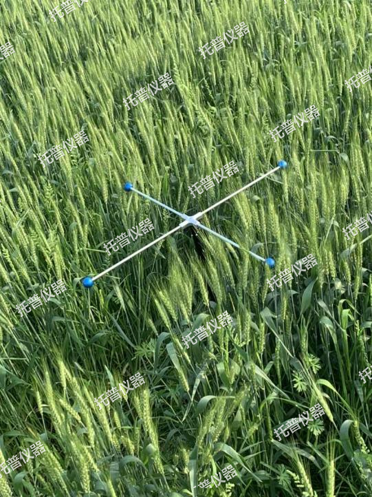 小麥畝穗數測量系統—快速，簡單獲得小麥產量信息的黑科技