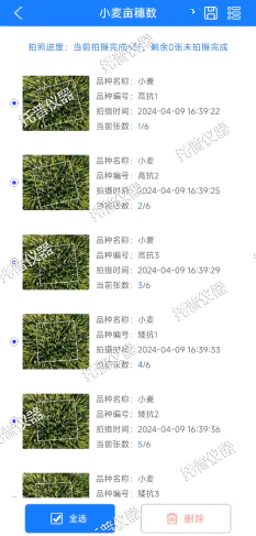 小麥畝穗數測量系統—快速，簡單獲得小麥產量信息的黑科技