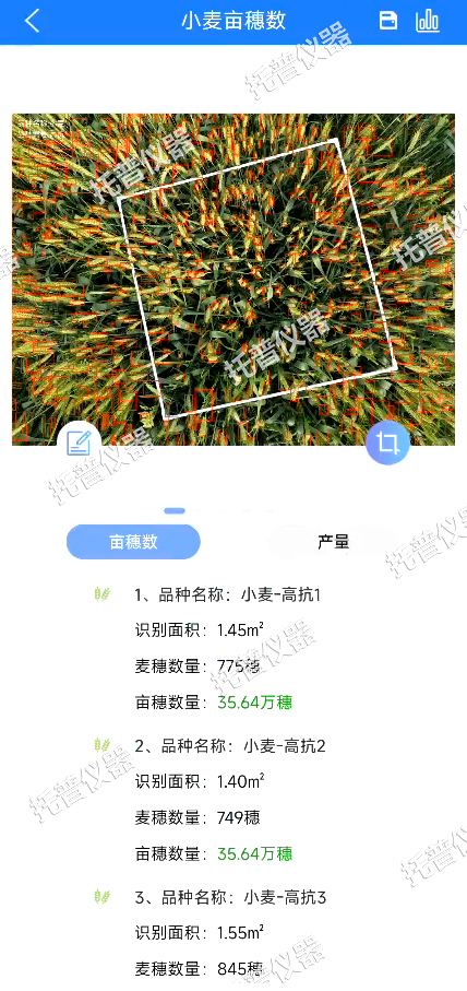 小麥畝穗數測量系統—快速，簡單獲得小麥產量信息的黑科技