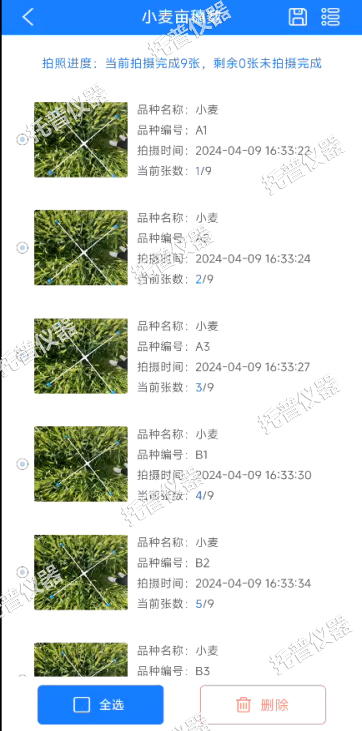 小麥畝穗數測量系統—快速，簡單獲得小麥產量信息的黑科技
