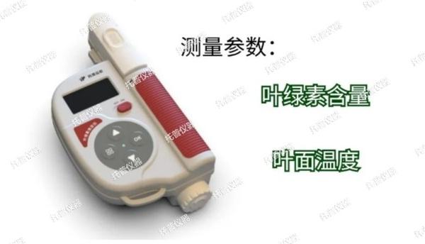 托普葉綠素測定儀全新升級，助力植物葉片研究分析