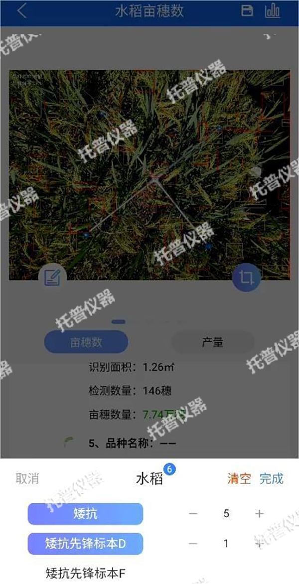 托普水稻畝穗數(shù)測量系統(tǒng)助力水稻測產(chǎn)精準高效