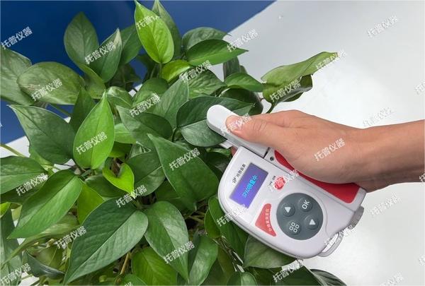 托普葉綠素測定儀全新升級，助力植物葉片研究分析