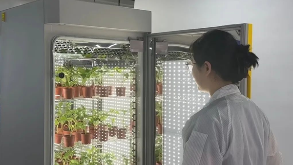托普儀器高精度培養箱助力科學研究