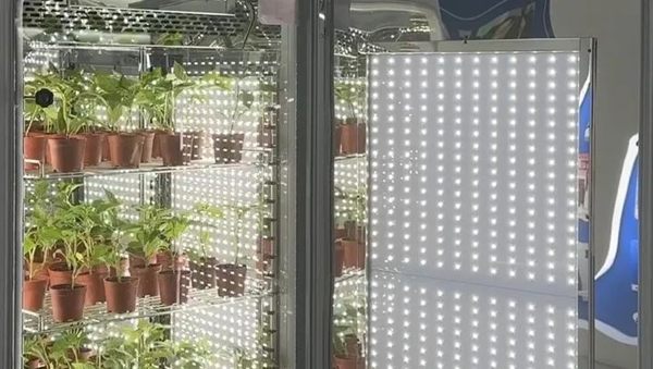 托普儀器高精度培養箱助力科學研究