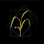 盆栽植物二維數字表型采集分析系統