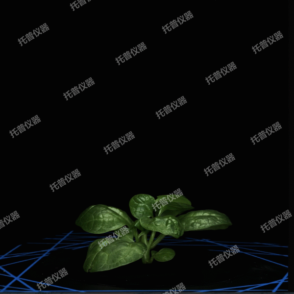 盆栽植物三維數字表型采集分析系統