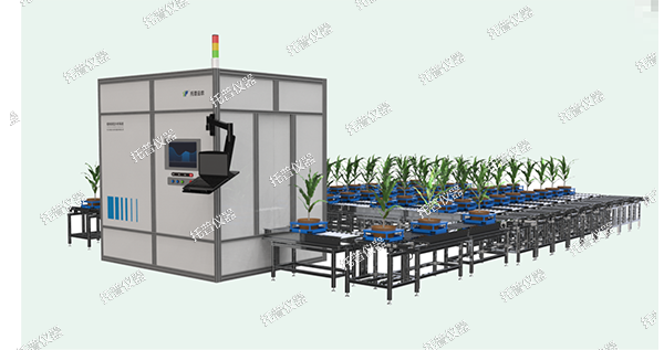 植物數字表型采集分析系統—高通量、高精度，植物表型測量理想之選!