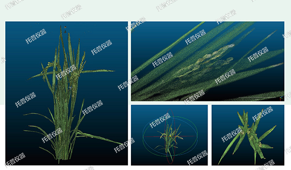 植物數字表型采集分析系統—高通量、高精度，植物表型測量理想之選!