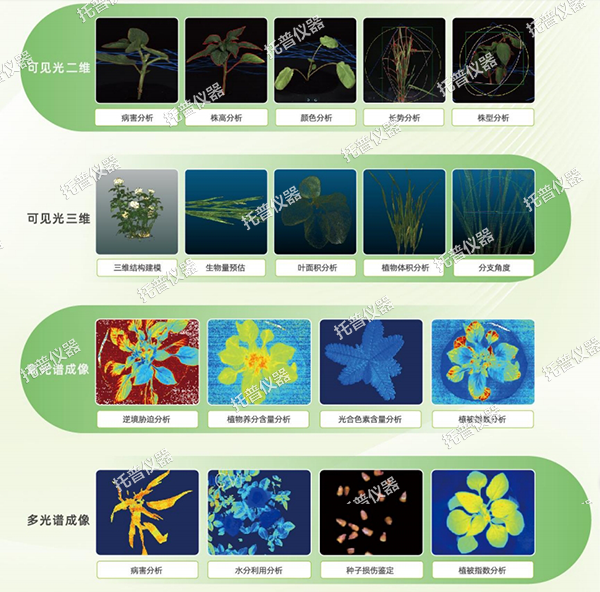 托普盆栽植物數字表型采集分析系統——一鍵采集，多維解析，AI 驅動農業科研提質增效