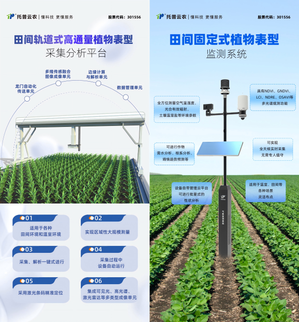 打造“AI+表型”新范式，托普云農(nóng)“高通量植物表型智能分析平臺”煥新上線！