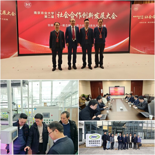 打造“AI+表型”新范式，托普云農(nóng)“高通量植物表型智能分析平臺”煥新上線！