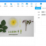 植物表型分析軟件（客戶端軟件）