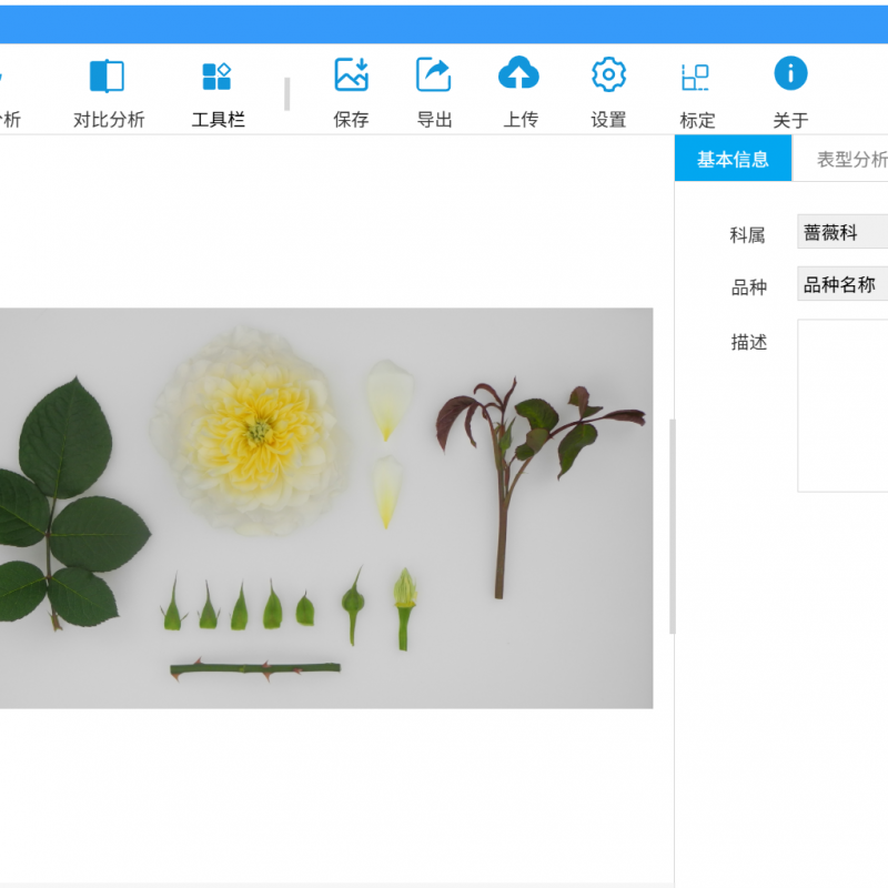 植物表型分析軟件（客戶端軟件）