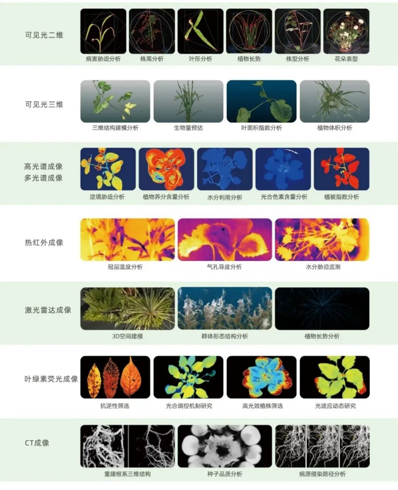 全產品AI賦能農業！托普云農持續深化“AI+農業”應用 擘畫智慧農業新藍圖