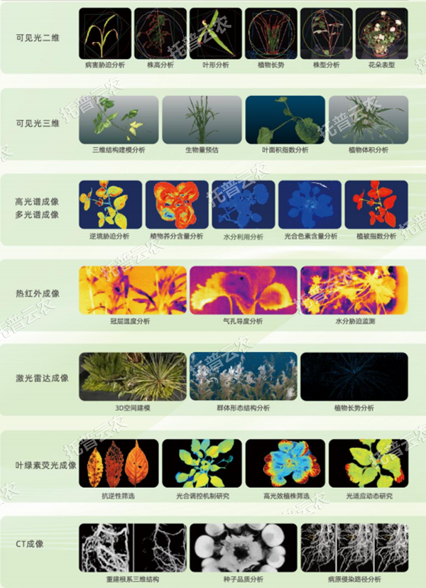 AI+農(nóng)業(yè)新突破！托普高通量植物表型智能分析平臺(tái)助力智慧農(nóng)業(yè)創(chuàng)新發(fā)展