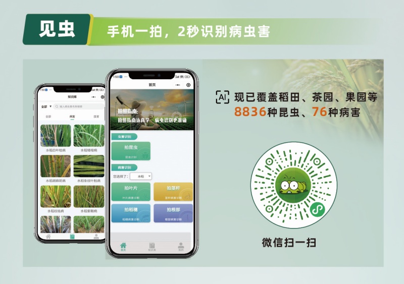 【AI+植?！?張照片抵過10年經(jīng)驗(yàn)，8000余種病蟲害全曝光！