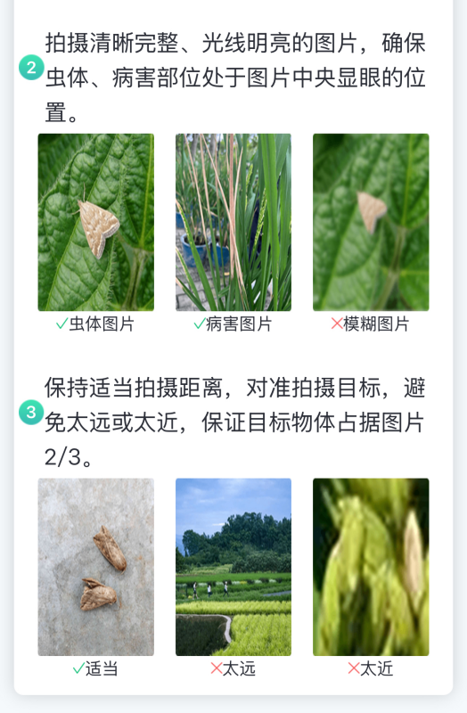 【AI+植?！?張照片抵過10年經(jīng)驗(yàn)，8000余種病蟲害全曝光！