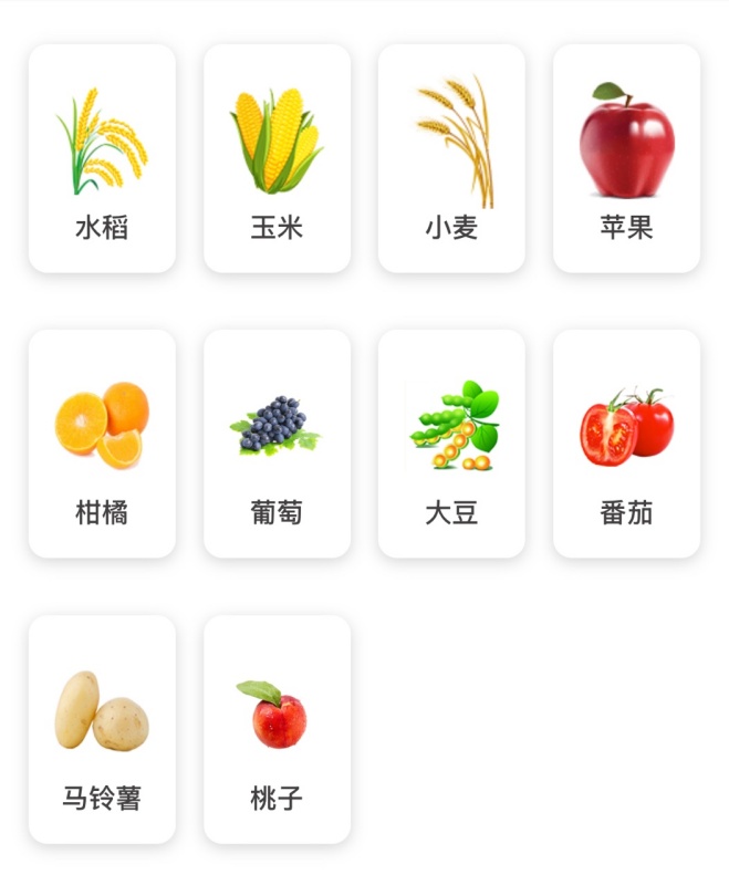 【AI+植?！?張照片抵過10年經(jīng)驗(yàn)，8000余種病蟲害全曝光！