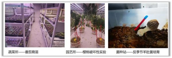 科研基地智慧育種方案
