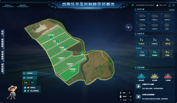 AI+農業 | 當種子植入“數智芯片”，馬山縣打造制種基地新標桿