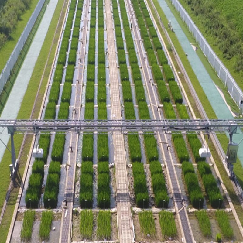 龍門式高通量表型采集分析平臺（地軌式）